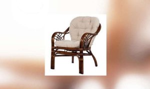 Кресло Roma с подушкой (004.027)